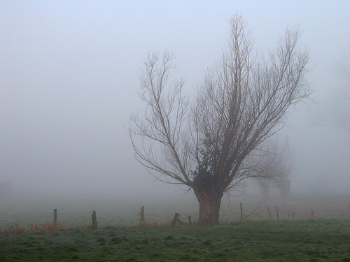 Grotenbroek (©) Peter Van Damme