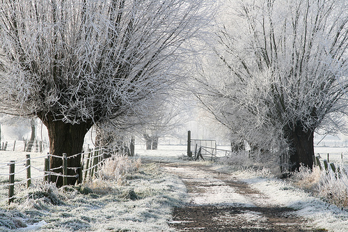 Grotenbroek (©) Peter Van Damme