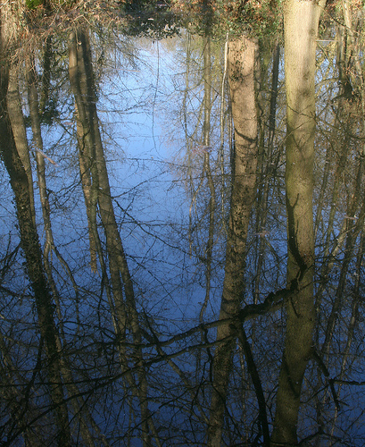 Reflecties (©) Peter Van Damme