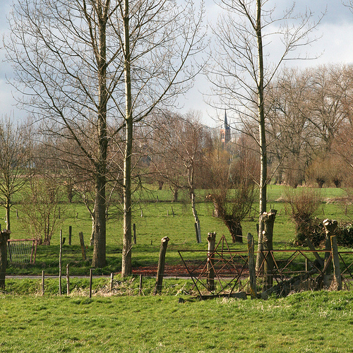 Semmerzake - Grotenbroek (©) Peter Van Damme