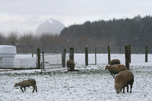 Oorlog en Vrede (©) Peter Van Damme