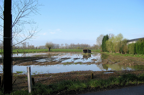 Semmerzake - Grotenbroek (©) Peter Van Damme