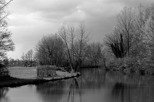 Gavere - Oude Schelde (©) Peter Van Damme